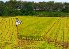 田園風景 逆さ富士