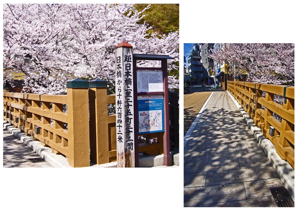 中山道を歩くⅢ　⑰桜満開の「板橋」