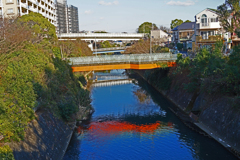 二重橋ならぬ・・