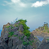 久慈 海辺岩礁群