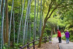 新緑を探して ③散歩を楽しむ人