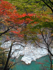 龍王峡の紅葉➀