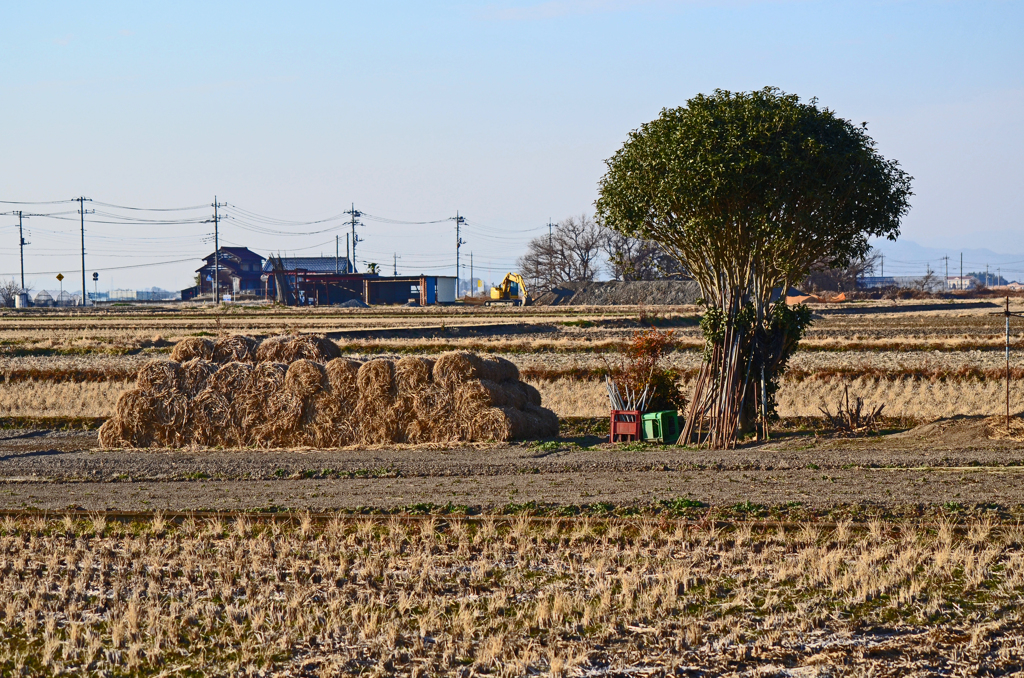 冬の田園風景　① 田圃 冬眠入り