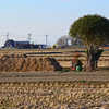 冬の田園風景　① 田圃 冬眠入り