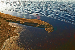 凍てつく河畔の造形　②さざ波と氷と象の鼻