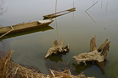 水路のオブジェ　② オブジェ風の枯れ木と小舟
