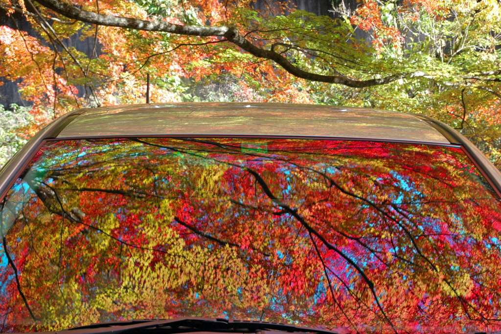 蓬莱山　② 窓に映る紅葉