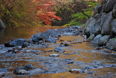 小中大滝　⑥ 紅葉を映して流れる