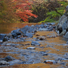 小中大滝　⑥ 紅葉を映して流れる