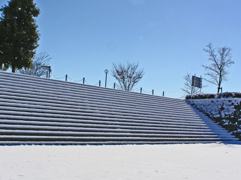 公園の雪景色
