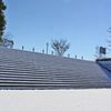公園の雪景色
