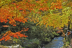 蓬莱山　 ③ 紅葉と流れと写友