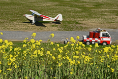 菜の花と軽飛行機