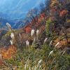 小中大滝　⑤ 晩秋 周辺の山々