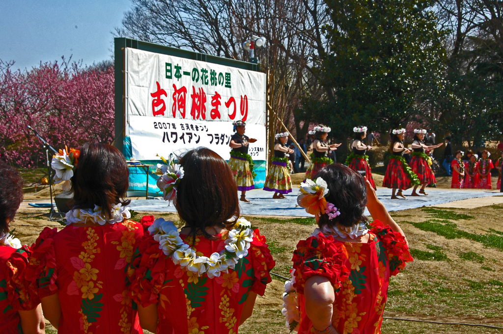 花桃よりも艶やかに
