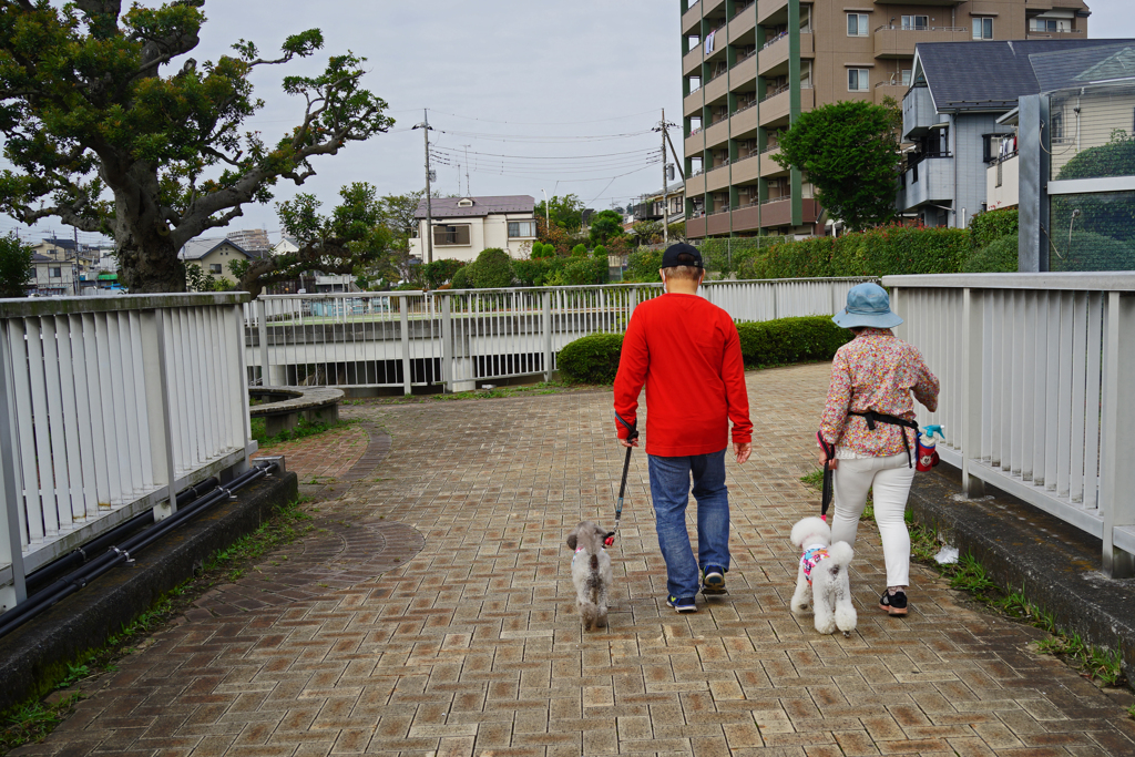 カラフルな お散歩