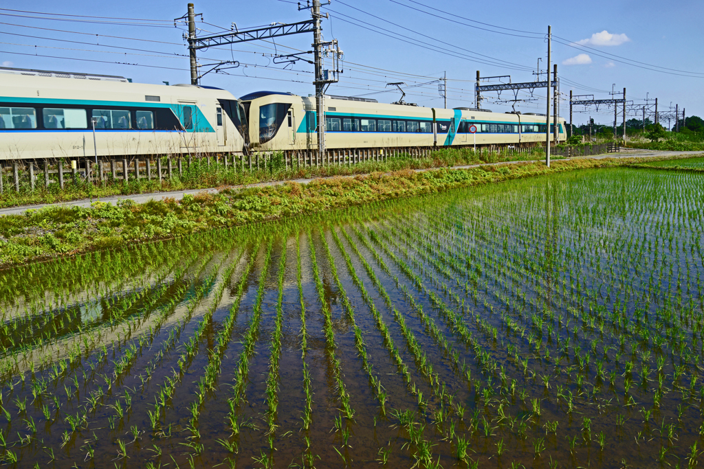 特急リバティ