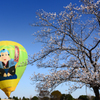 桜と たけちゃんバルーン