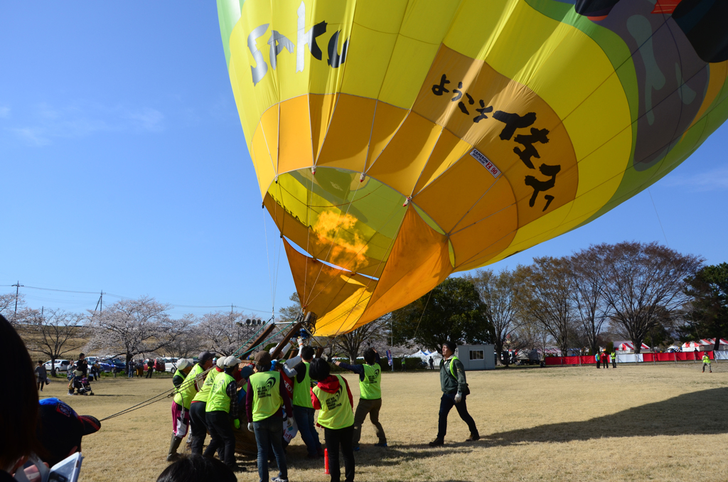 懸命のバルーン立ち上げ