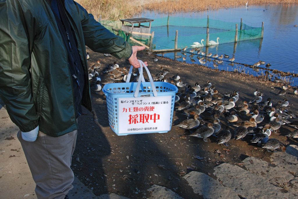 「ご苦労様です」 鳥ｲﾝﾌﾙｴﾝｻﾞ対策