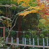 小さな吊り橋と黄葉