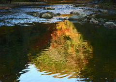 養老渓谷　③紅葉の流れ