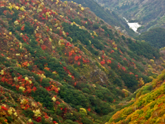 奥日光 半月山 山襞の紅葉