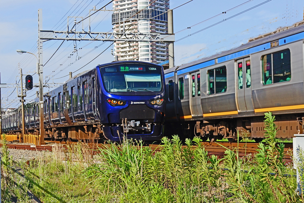 相鉄  電車往来 ⑫すれちがい