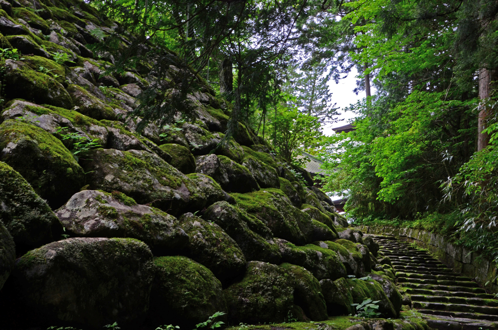 日光ぶらぶら　⑥ 輪王寺への道
