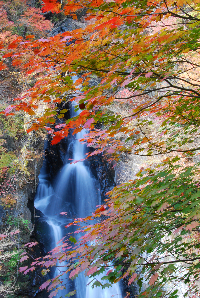 紅葉の小中大滝　①