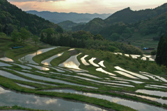 棚田　①夜明けの大山千枚田