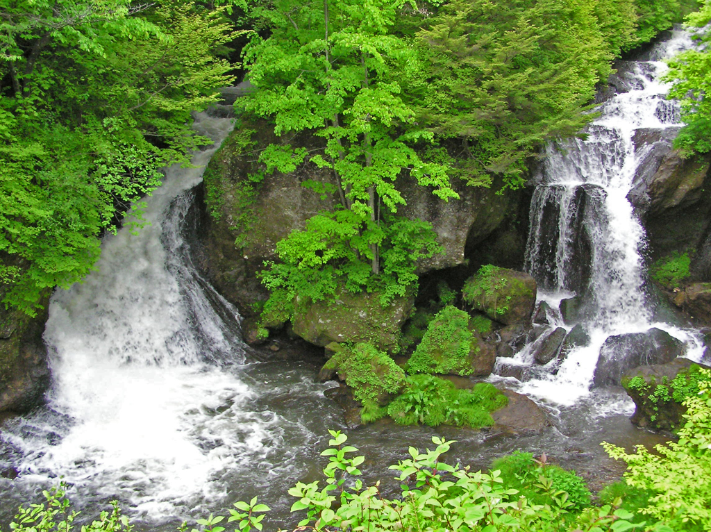 竜頭の滝  ①新緑