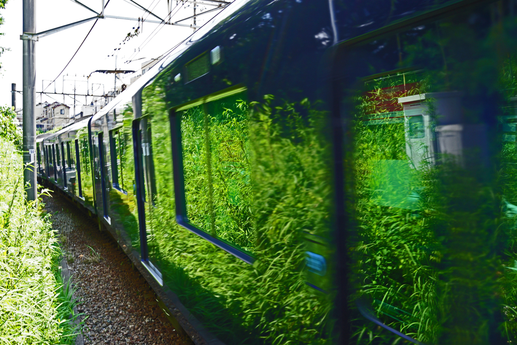 相鉄 電車往来 ①