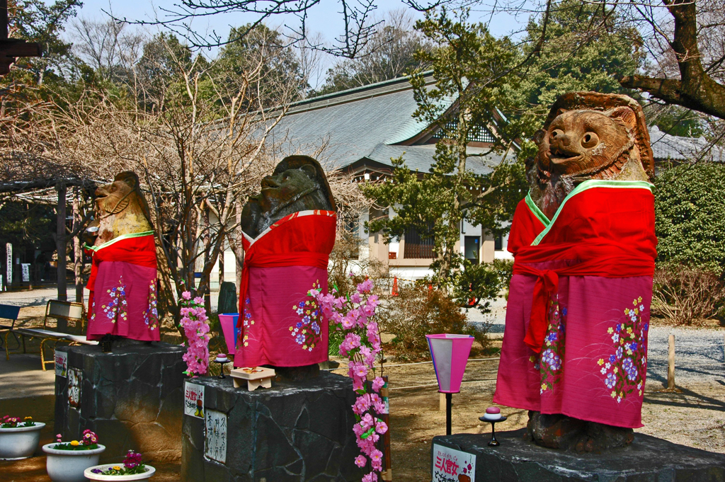たぬきの雛祭り　④三人官女