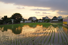 梅雨時の夕暮れ