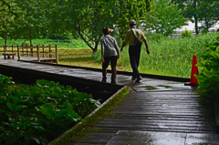 雨上がりのお散歩