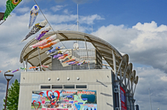 五月が遅れてやっと来た