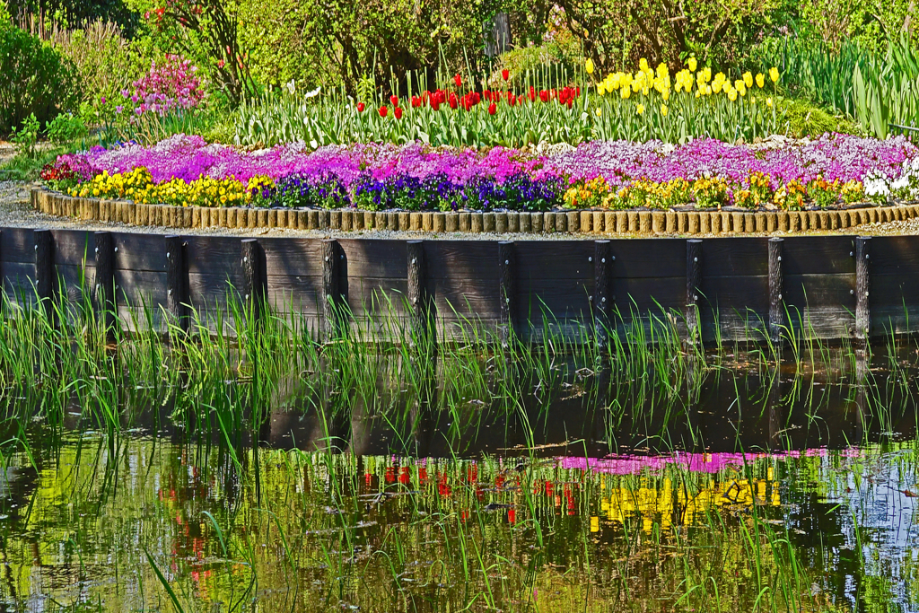 花壇 影を映して