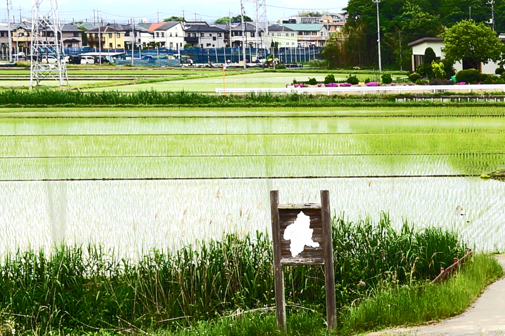 「鶴舞う形の群馬県」