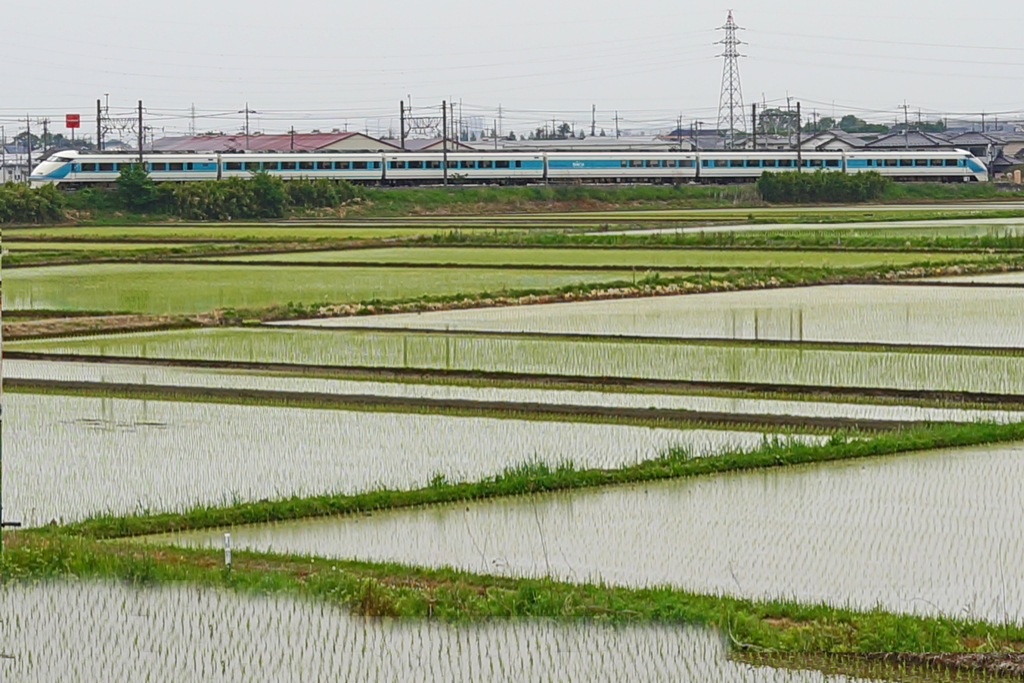 田植えの季節