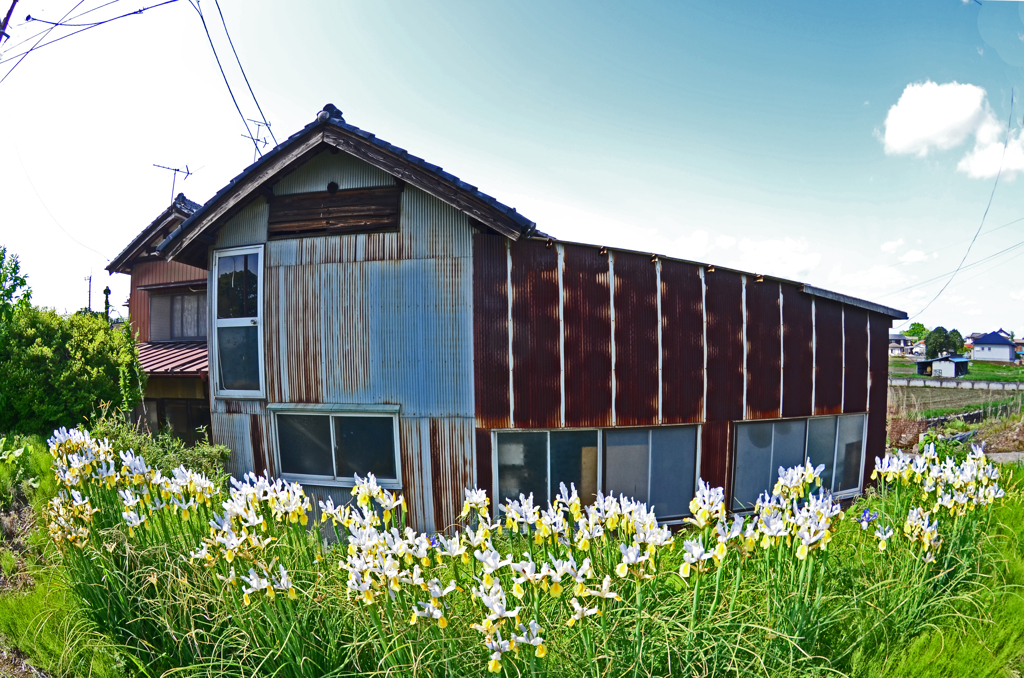 誇り高き小屋
