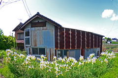 誇り高き小屋