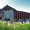誇り高き小屋