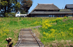 菜の花土手と沈下橋