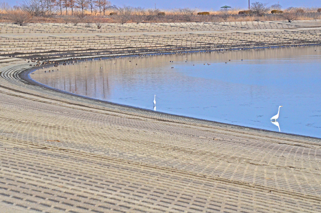 冬期の遊水地　池底干し上げ中