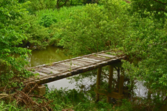 谷田川の沈下橋