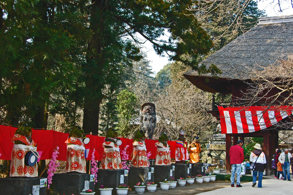 たぬきの雛祭り　①並んでお迎え