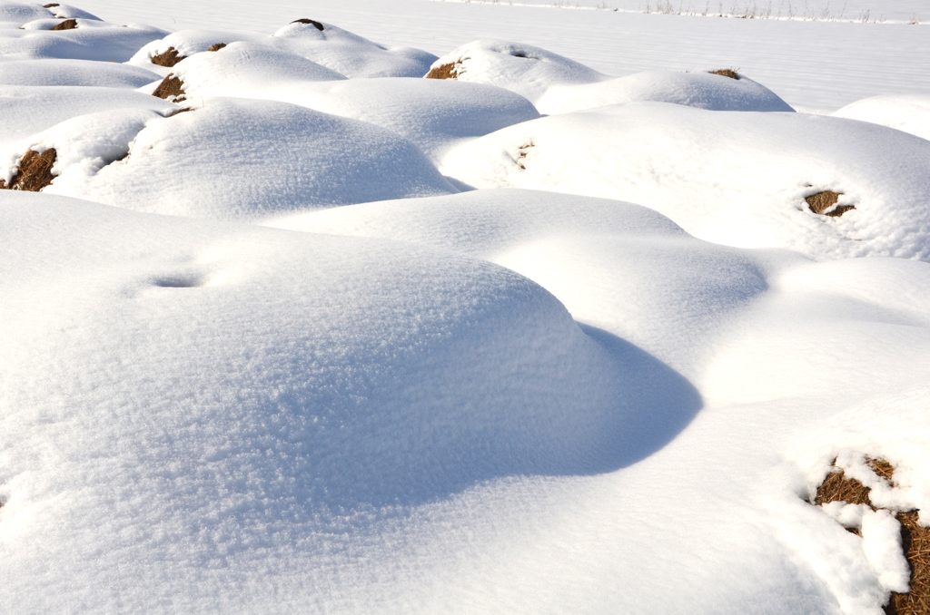 「雪の形象」撮影現場