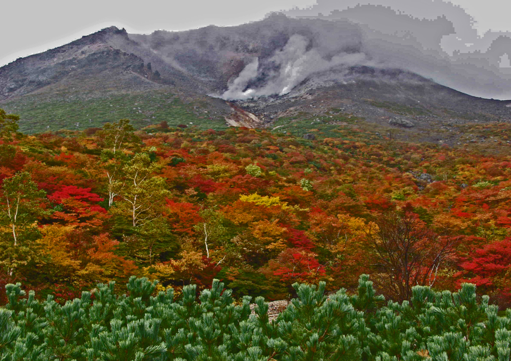 那須紅葉　⑨ 紅葉サンドイッチ