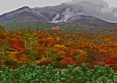 那須紅葉　⑨ 紅葉サンドイッチ